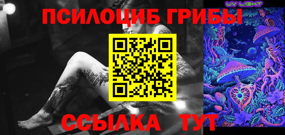 Кемерово  Псилоцибиновые грибы Psilocybine cubensis  Вход с VPN 
