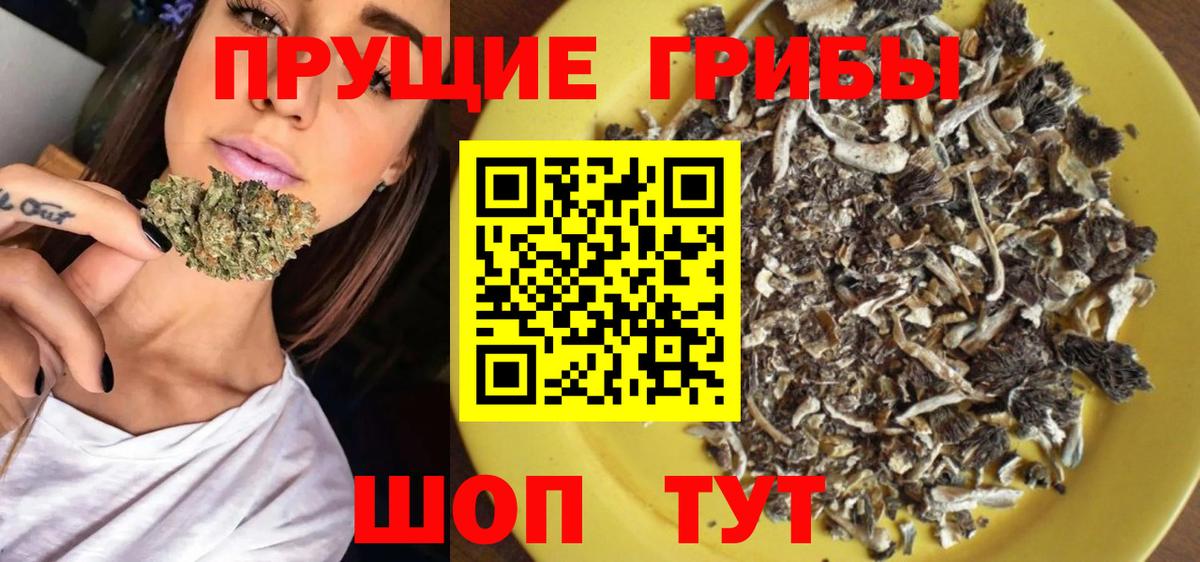 Галлюциногенные грибы Magic Shrooms Кемерово